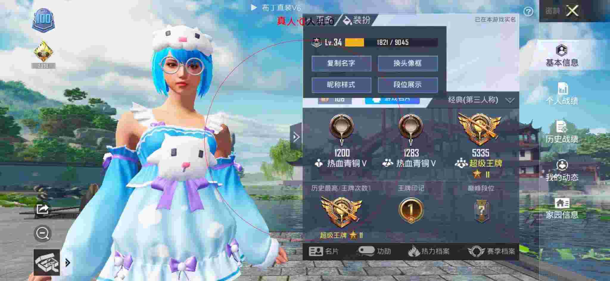 和平精英布丁直装透视 - 和平精英服装挂辅助预览图